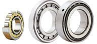 Cylinderical Roller Bearings
