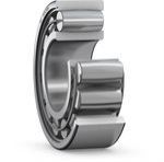 Carb Toroidal Roller Bearings
