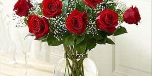 12 Roses in Glass Vase
