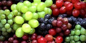 Fresh Grapes