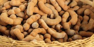 Tamarind Pods