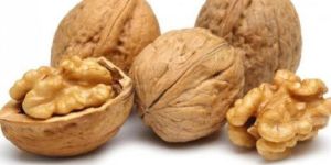 Walnut Kernels