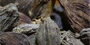 Black Cardamom
