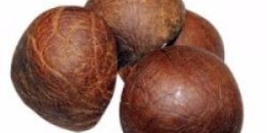 Dried Whole Coconut Copra