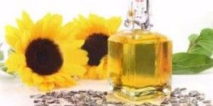 Sunflower Oil