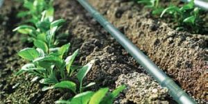 Plastic Irrigation Pipe