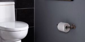 Floor Mounted Toilets