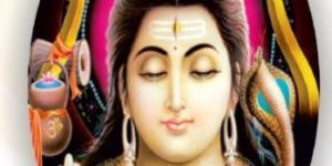 Digital Poster Tiles