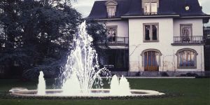 Fleur De Lis Aerating