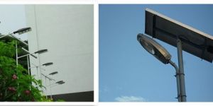 CFL Solar Street Light