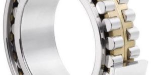 Double Row Cylindrical Roller Bearing