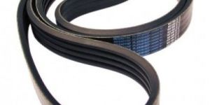Fan Belt