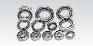 Cylindrical Roller Bearing