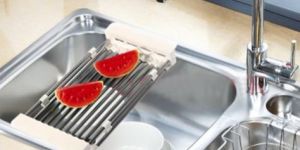 Extendable Stainless Steel Fruit Drying Tray Rack