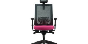 Nez Task Office Chairs
