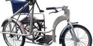 Handicapped Tricycle