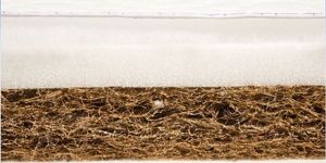 Coir-Form Mattress