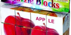 Asian Picture Blocks Fruits