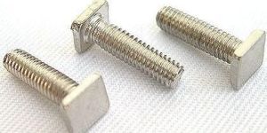 Square Rectangle Head Screws
