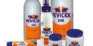 Fevicol Adhesive