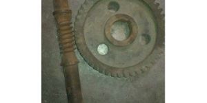 Worm Shaft and Gear