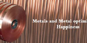 Copper Wire Strip