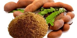 Dehydrated Tamarind Powder