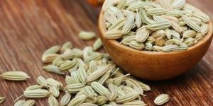 Fennel Seeds