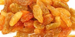 Green Raisin