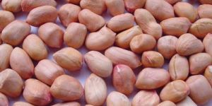 Java Peanuts