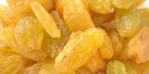 Yellow Raisin