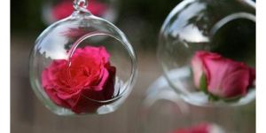 Glass Hanging Flower Bowl