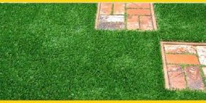 Artificial Grass