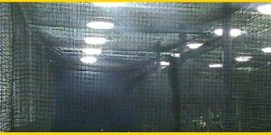 Sports Nets