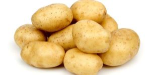 Fresh Potato