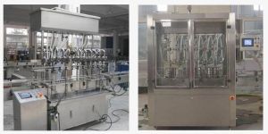 Edible Oil Packing Machine