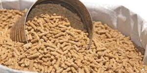Equine Feed