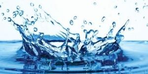 Water Borne Coatings