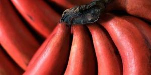 Red Banana