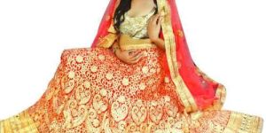 Designer Lehenga Choli