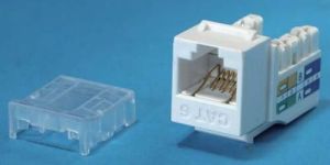 Cat 6 Jack