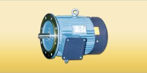 Flange Mounted Motors