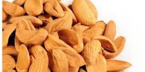 Mamra Almonds