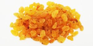 Yellow Raisins