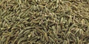 Cumine Seed