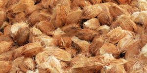 Coconut Husk