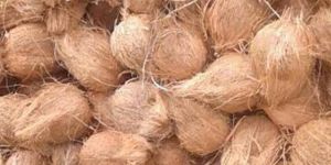 Semi Husked Coconut