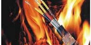 Fire Survival Cables