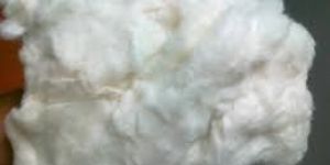 Cotton Comber Waste