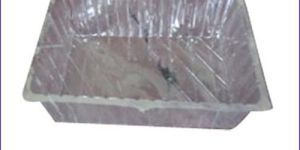 Blister Biscuit Tray